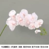 9 Phalaenopsis 2nd generation silk cloth light pink