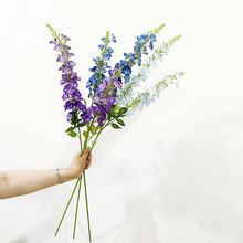 2024���¿��w��� 2�^������~�� �����ɚ⻨�Ĵ���С����ǧ����