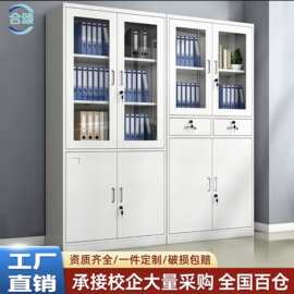 钢制文件柜办公室资料档案柜带锁铁皮柜财务凭证柜员工收纳柜厂家