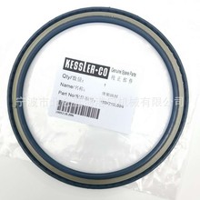 ����Kessler�Ә��ùǼ��ͷ�180X210L08N