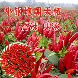 С�����������콷��N�����ļ��߲�������С�׽�С���������ݷN��