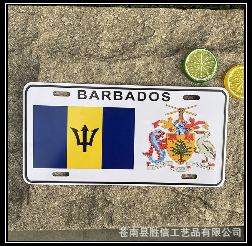 外贸定制美规车牌车牌铝铁牌金属四色胶印铝牌折边马口铁凹凸做工