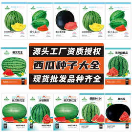 源头厂家批发西瓜种子懒汉瓜王盆栽小无籽冰糖麒麟瓜8424黄皮种籽
