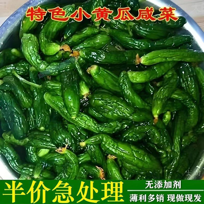 Northeastern Pickled Cucumbers, a Specialty of Shandong, Are Fresh, Crispy, and Delicious. These Small Pickles Are an Appetizing Side Dish to Accompany Meals. Pickled Cucumbers Are Sold Directly from the Manufacturer
