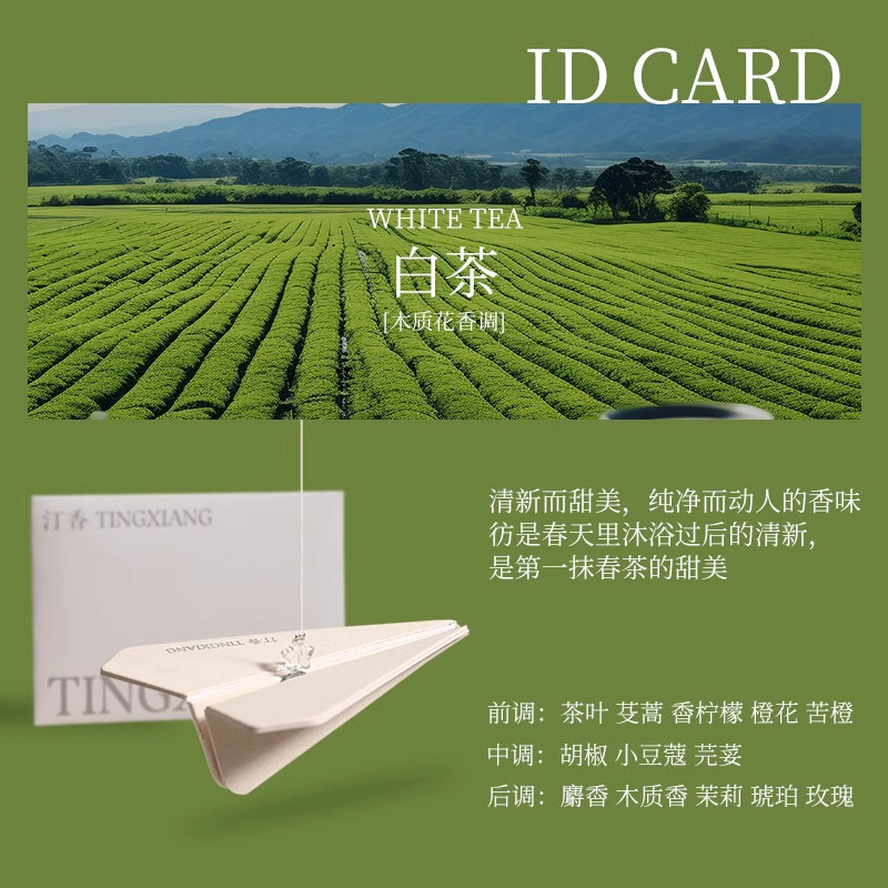 자동차향정-백차-1개(골판지)-DY