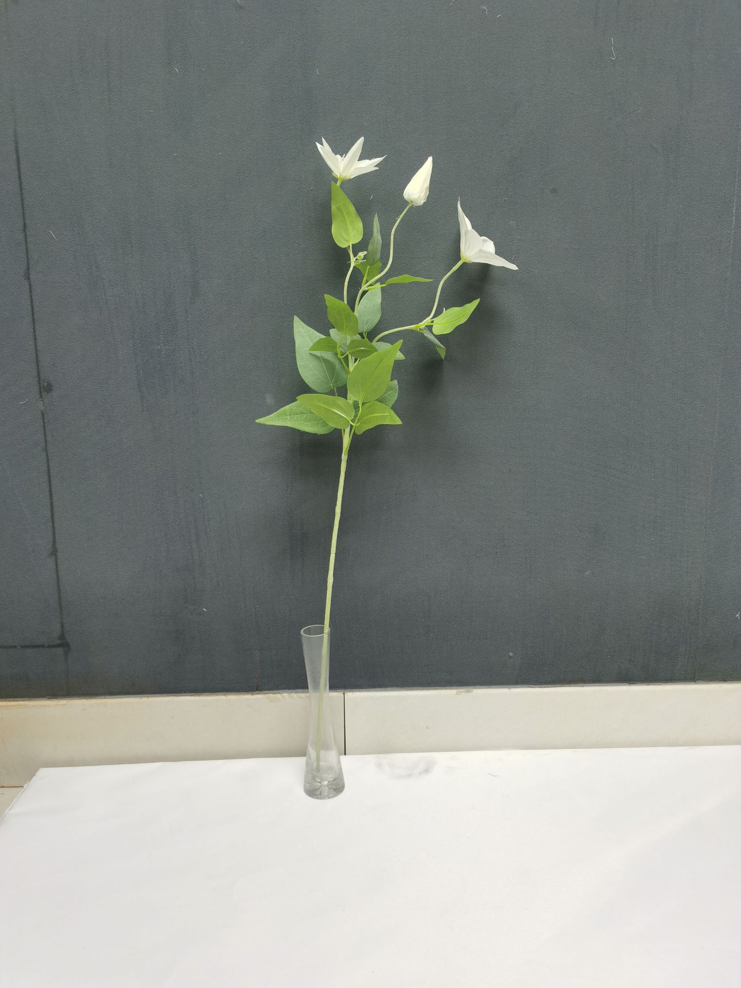 微信图片_202212141114031