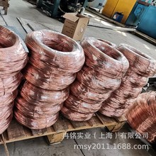 ���y���~ C101�y�~�� C10400�y�~�� C10500�y�~�� C10700�y�~�z