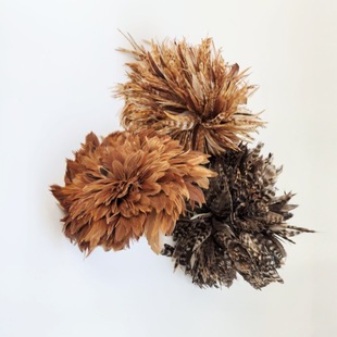 �S��ֱ�N���J��Ӿë��ë�b��uë �t�J���uë ��؈���uë DIY��ë