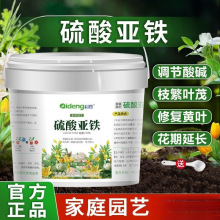 ���၆�F������ϲ��ֲ��d�ӻ��軨���N����ˮ�ܷʷ��S���]���l