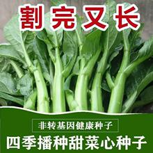 LļķNӏV|ľŲ͸ߜ߲