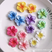 �l������z�����Ʒ��� С�����u����  ��֬DIY�NƬ���ϏS��