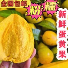 �����u�������r���S��3��/5�ﮔ���Ꭷˮ�����r���������خa���