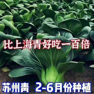 �ļ��ڴ��^�Ϻ���˷N�Ӵ��~���~����