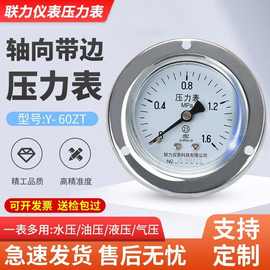 联力Y60ZT轴向带边压力表水压表气压表面板安装嵌入式普通压力表