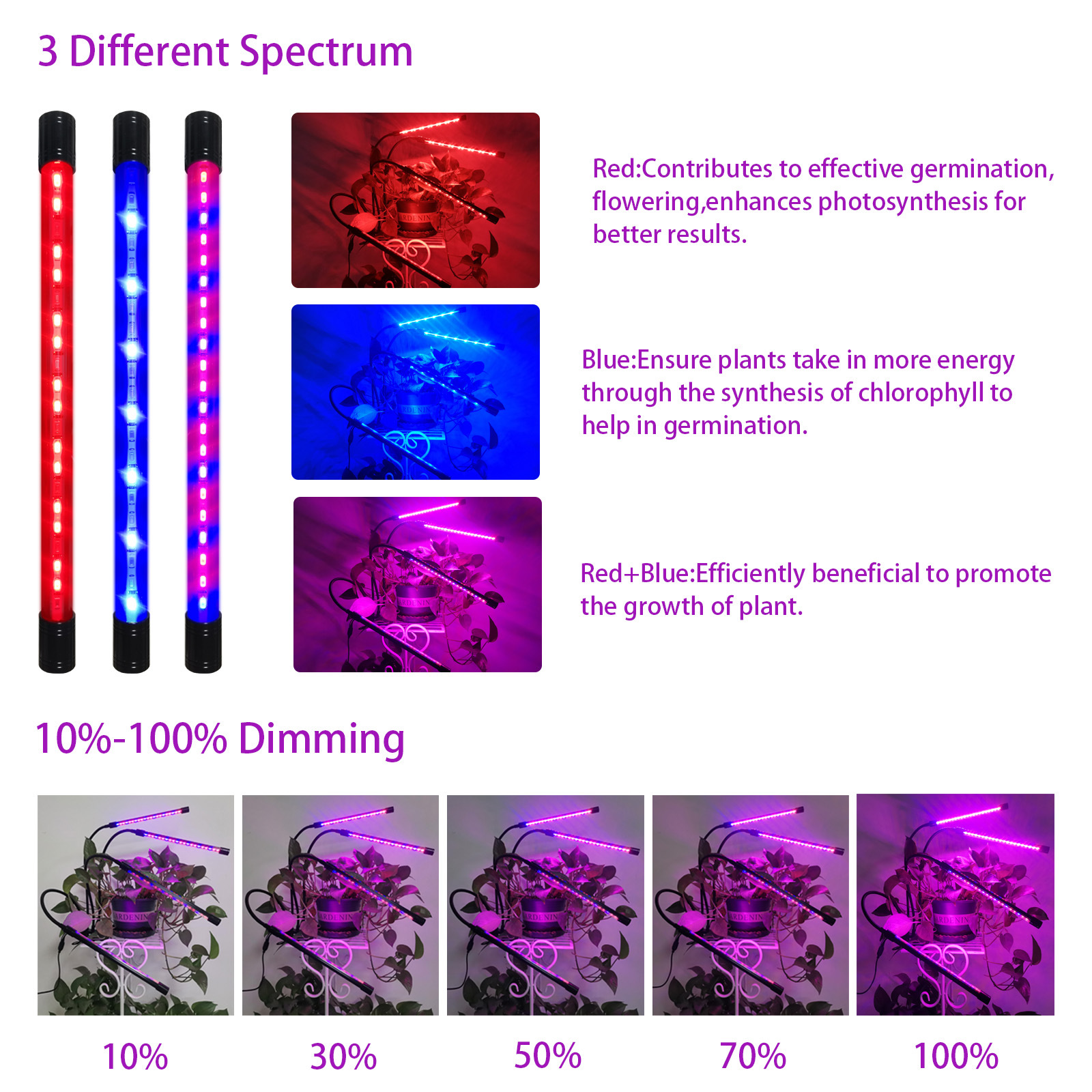 ledֲ��������ֲ��Ƽ��Ӷ�ʱȫ����̫������⻨��ҩ���粹���