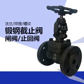 J41Y-150LB J41Y-300LB J41Y-600LB美标F304锻钢截止阀 法兰RF/FM