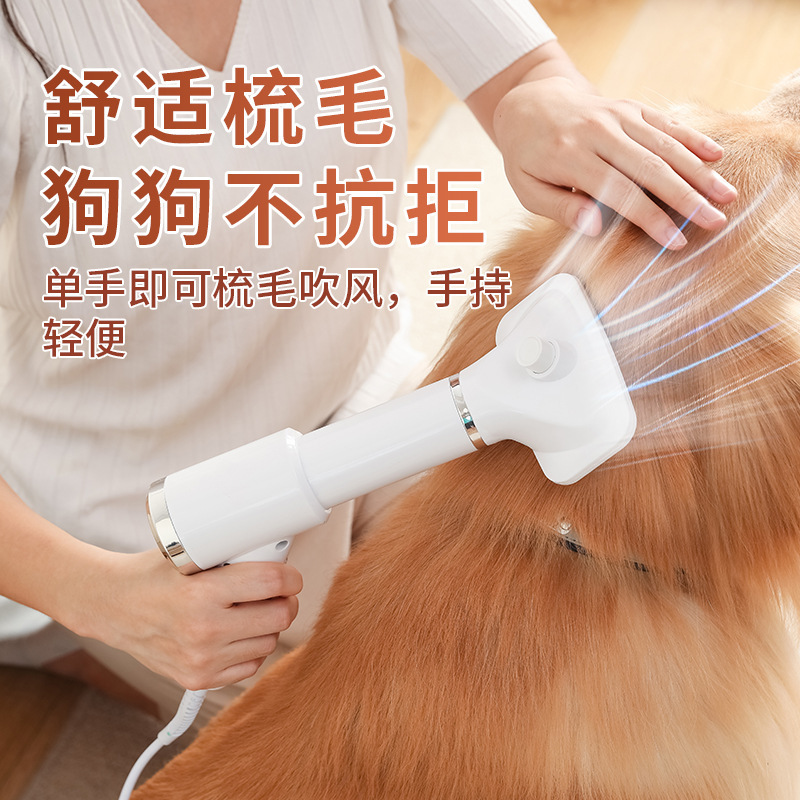 애완동물 헤어드라이어 빗, 강아지 헤어드라이어, 애완동물 고양이 헤어드라이어, 전기 청소 및 미용 애완동물 빗, 열풍 빗