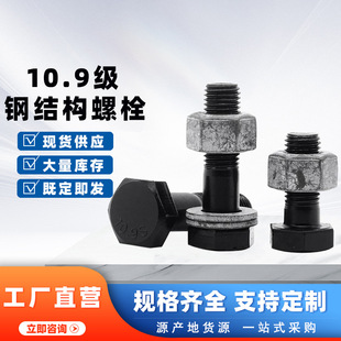 䓽Y���������ݽz�ߏ�����������˨��ĸ���b�����^�ݽz�F؛10.9��