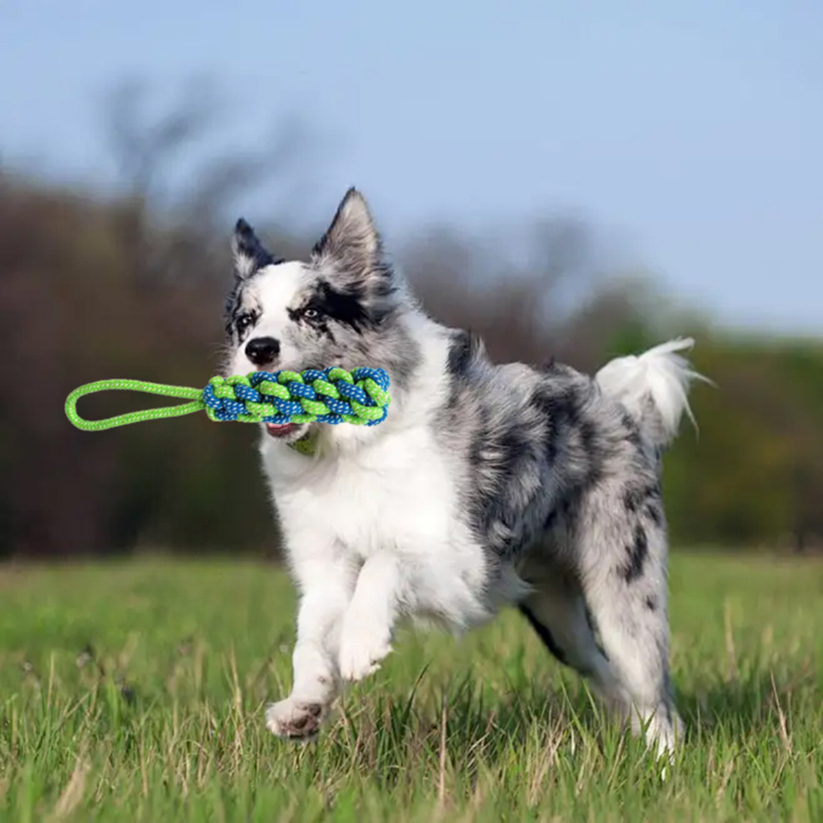 Durable Dog Rope Toy For Interactive Chewing And Teeth Cleaning_voghion.com
