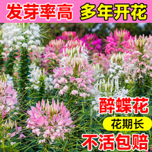 �������N��������P�������ѻ��������̨����һ���ļ����N���_��