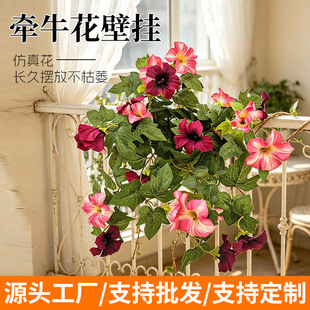 ���R�d�羳12�栿ţ�����Ȼ��ڒ촹����ֲ���b[������Y������