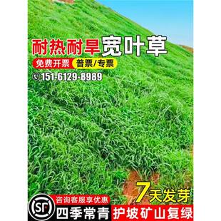 ���~ȸ�޲ݰ�ϲ�ݲ����o�¹����Vɽ�;G߅�¾G���͟��ͺ����̷N��