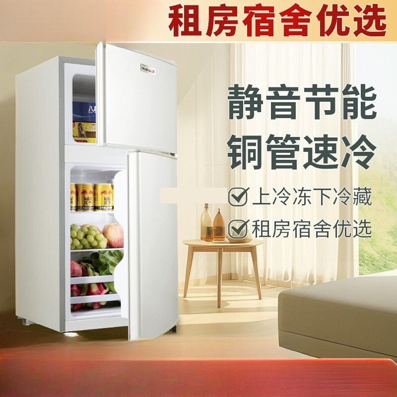 新款一级能效小冰箱二人用家用小型出租房宿舍用迷你双门电冰箱|undefined