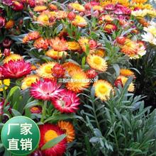 շNӾջNӴNϞջ܈@ˇͥԺ^UջN