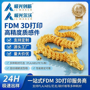 Industrial-Grade Pa12 Nylon 3D Printing Prototype Model Small Batch Production and Prototyping Fdm Processing