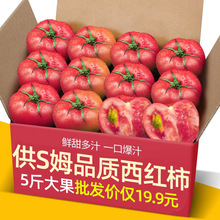���ڹ��̳�Ʒ�|ɳȿ���t��5���b��Ȼ�������߲�ˮ���������_��˹