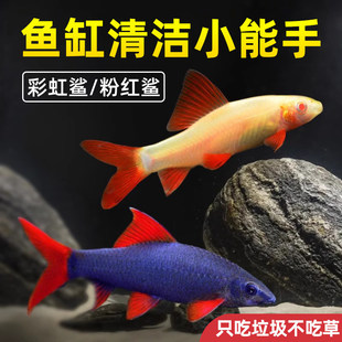 �ʺ����~���^�p�~���w������̦�������S�������~���坍�����~