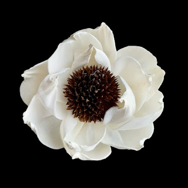 Индивидуальные | Без огня Ароматерапия Пион Цветок Ручной Работы Ароматерапия Цветок