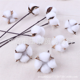 �����޻��ɻ���֧ľ�޻������滨 �Ҿ��b����յ������10ֻ/��