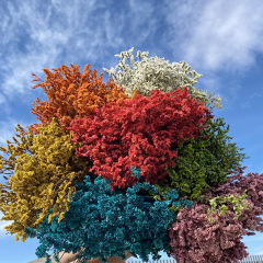 【永生水晶草】水晶花永生花玻璃杯專用花材碎花頭雲南乾花批發包