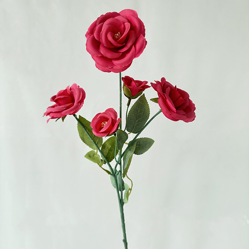 긴 머리 5개, 상큼한 장미색 장미색