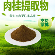 肉桂提取物比例提取物肉桂粉原料批发量大从优肉桂萃取粉
