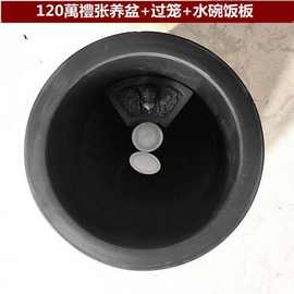 蛐蛐罐蟋蟀灌养盆精致黑色用具