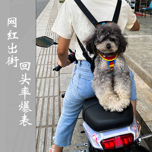 Pet backpack teddy bear small dog back dog bag portable cat bag dog backpack pet supplies