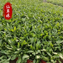 ���u��С����u�ջ����ļ����u�ձ����޸����ܶ�����ͥԺ�ͺ�����