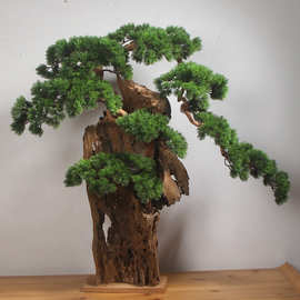 中式迎客松风化木根雕摆件酒店售楼处别墅玄关景观木质工艺品软装