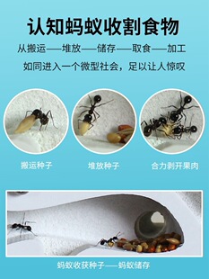 Λρ�Ǳ����������ի@ρ�W���^�������ɳρ���C��ρ��҈@