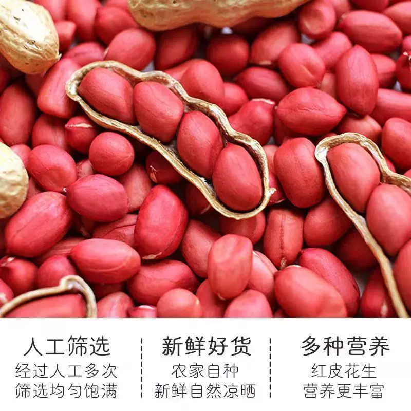 农家自种四粒红花生 东北红皮花生当季新货 农家自种颗粒饱满零食