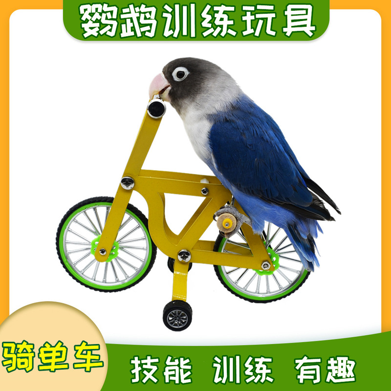 Parrot Toys, Bicycle Training Bird Supplies, Tools and Props, Lovebird Cockatiel Cycling Training Interactive Bird Toys, Cross-Border