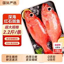 �tʯ���~�Y���r���������t�~��đ����F�~�ǖ|�ǰ��º��rˮ�a