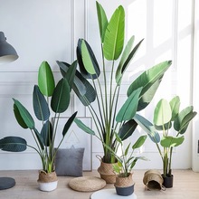 ���W���������B����Gֲ���Կ͏d�Ҿ��b[����ֲ���辰���˽�