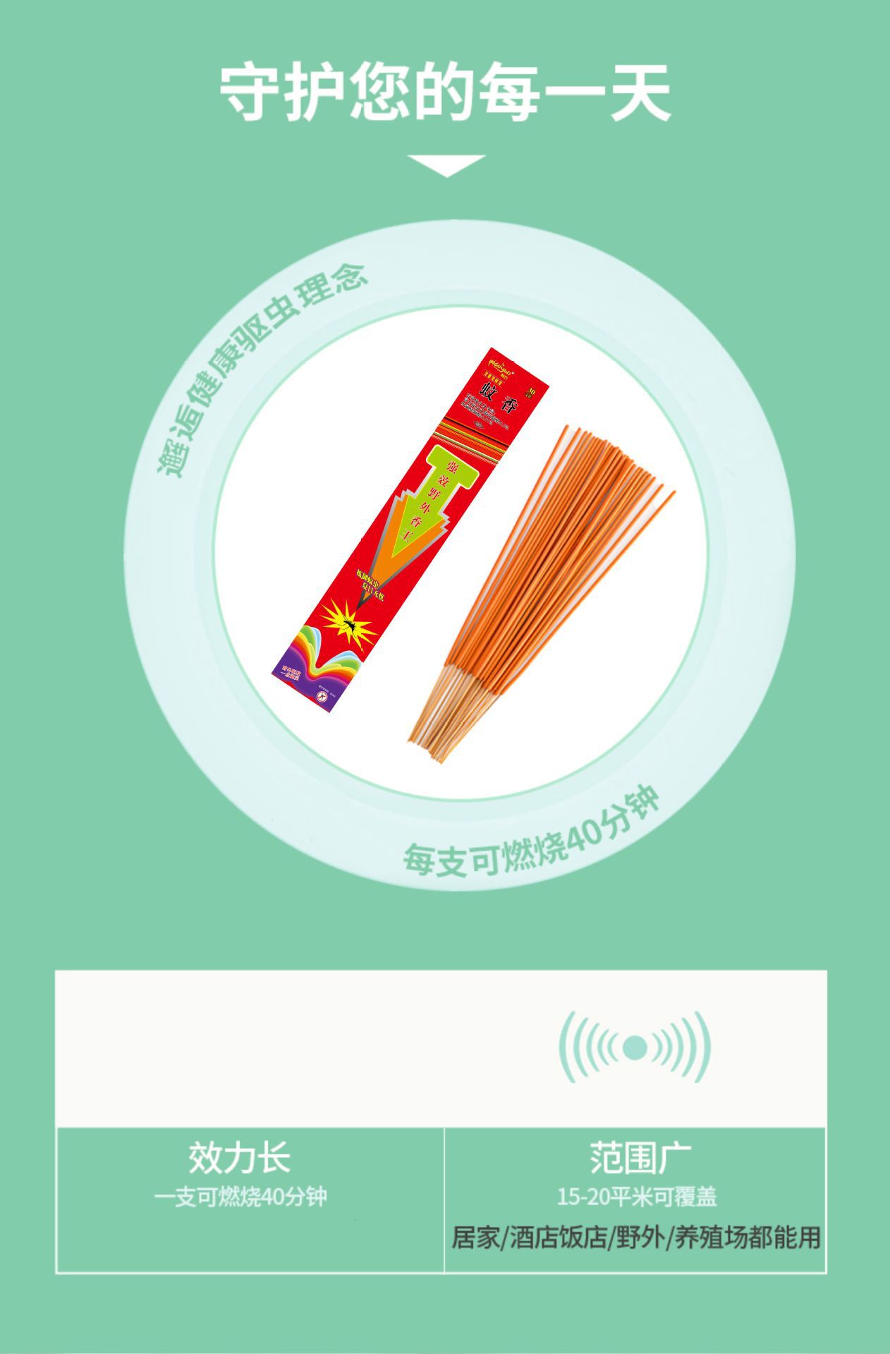 2024版详情3