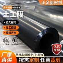 防渗土工膜垃圾填埋场养殖场沼气池蓄水池高密度聚乙烯防渗土工膜