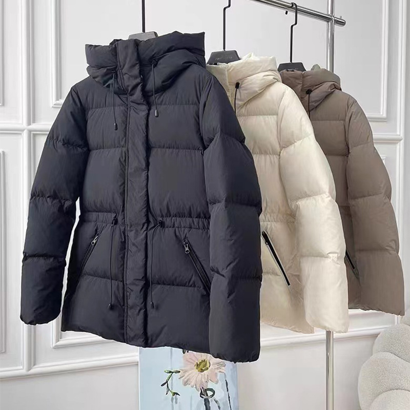 未标题-1_0009_微信图片_20231123153153