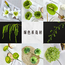 Gɫϵ滨ɭϵY~ cYò廨 ʽYˇ