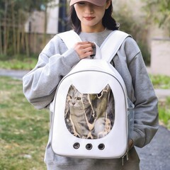 猫のカバンは肩を持って出かけます。リュックサックを持っています。